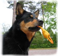 kumikana_roudansuussa.jpg (19K)